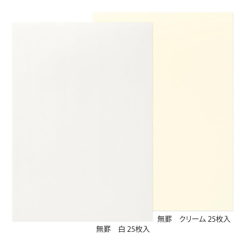 Designphil Midori 20519006 Stationery Paper for Beautiful Letters with Fountain Pen, Unruled A - Image 2